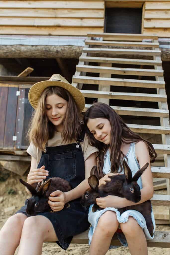 Is It Better To Have Two Rabbits Or One? 3 What are the benefits of having one rabbit?