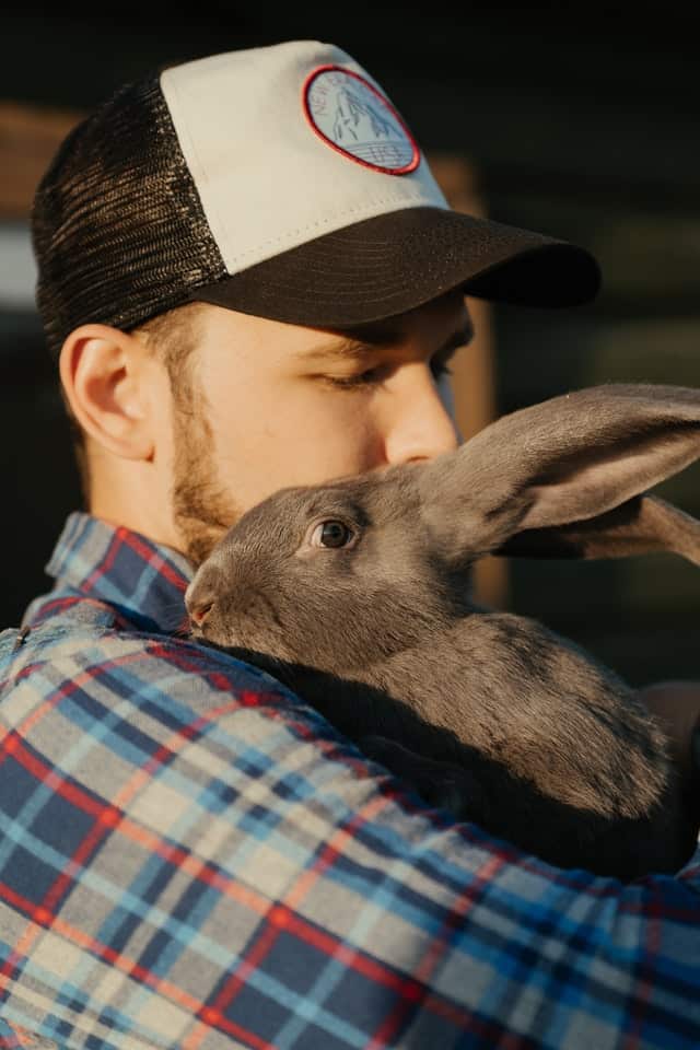 holding a rabbit