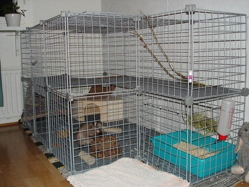 How To Stop A Rabbit From Chewing Its Cage? 8 A rabbit big rabbit cage with multiple layers.