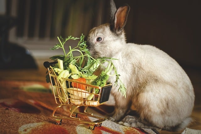 A rabbit with a cart full of vegetables.