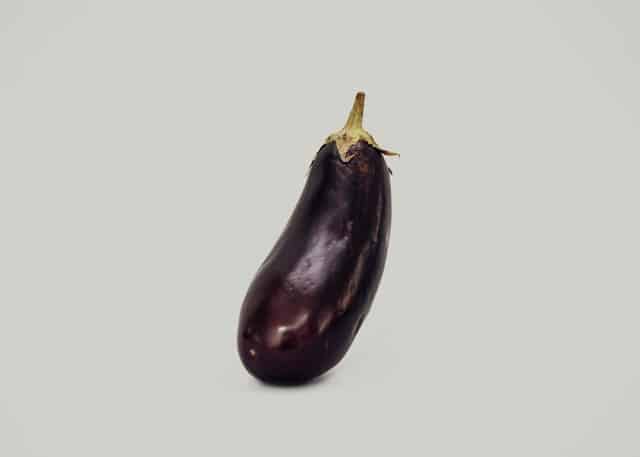 A photo of a single eggplant. Can rabbits eat eggplant