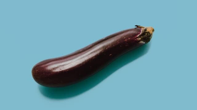 A photo of a single long eggplant