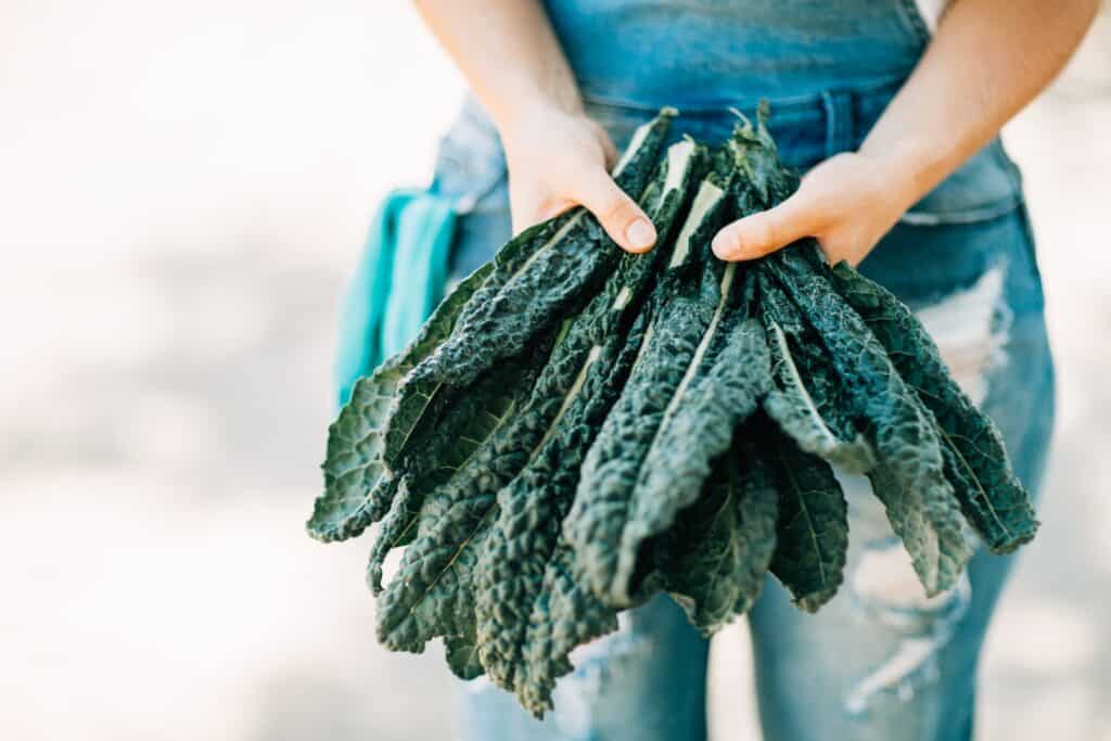 A woman holding kale about to be given to rabbits. Can rabbits eat kale