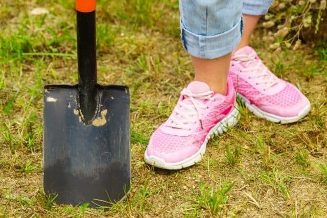 A man holding a shovel to use to dispose of the dead animal he found.