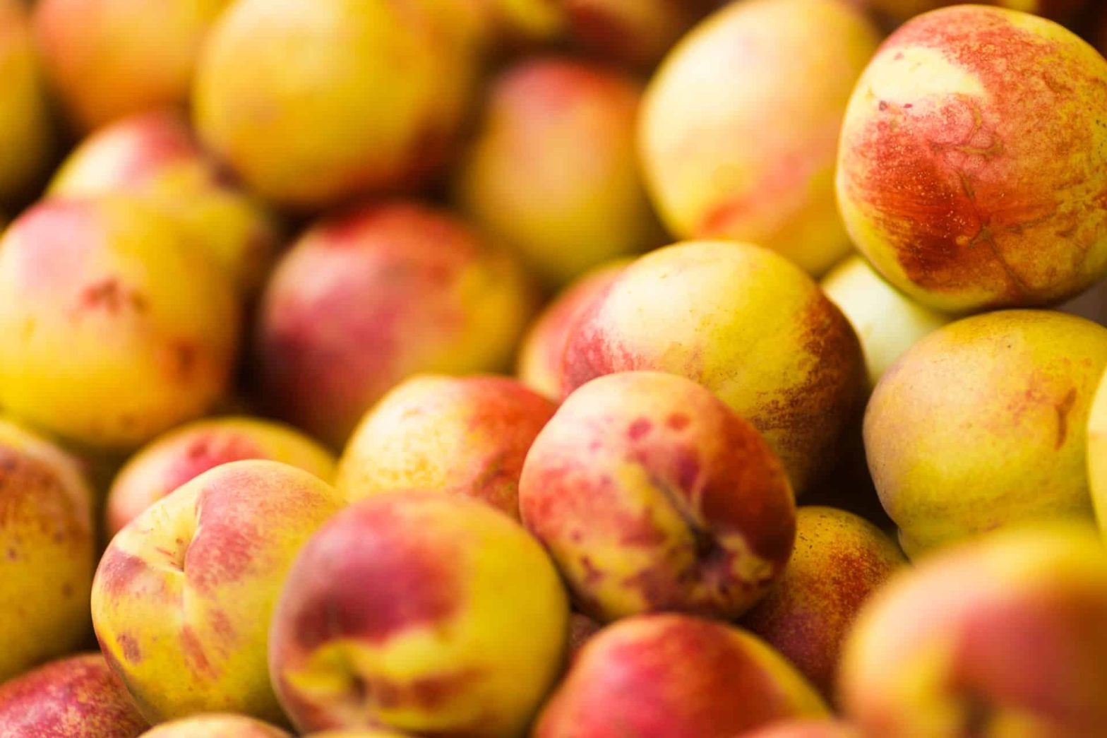 A-bunch-of-raw-nectarine.-Can-rabbits-eat-nectarines