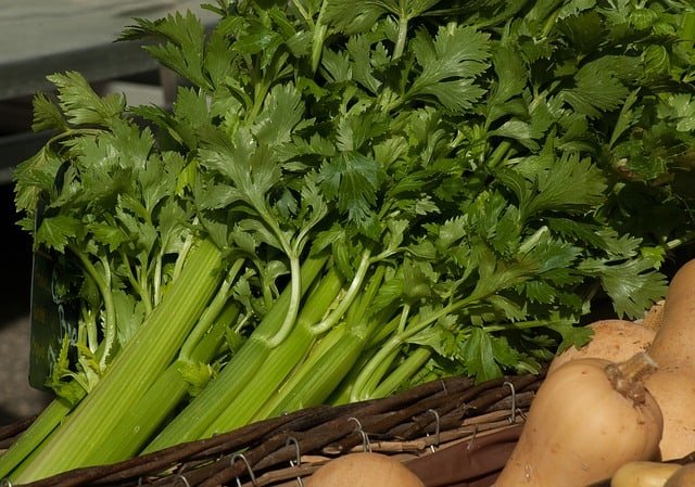 Fresh celery in a basket