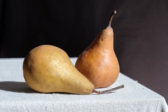 Two raw pears.