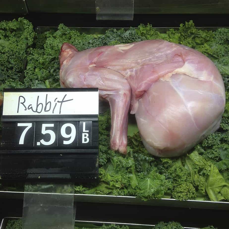 What Is Rabbit Meat Called? Your Questions Answered.
