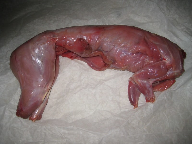 Skinned wild rabbit meat. What Does Rabbit Meat Taste Like?