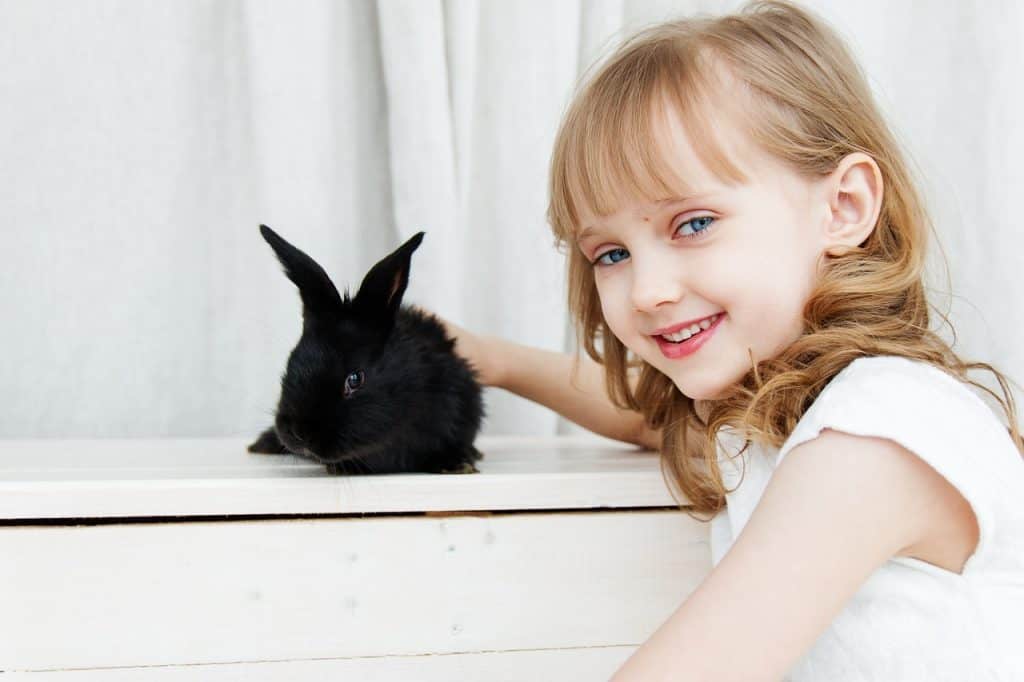 A little girl holding her black pet rabbit