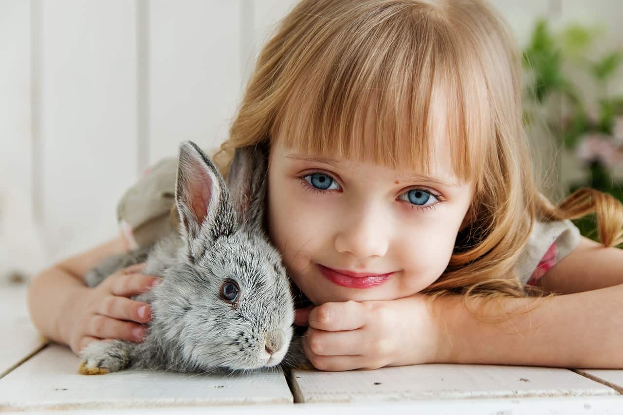 A kid with her pet rabbit. How to convince your parents to get a bunny