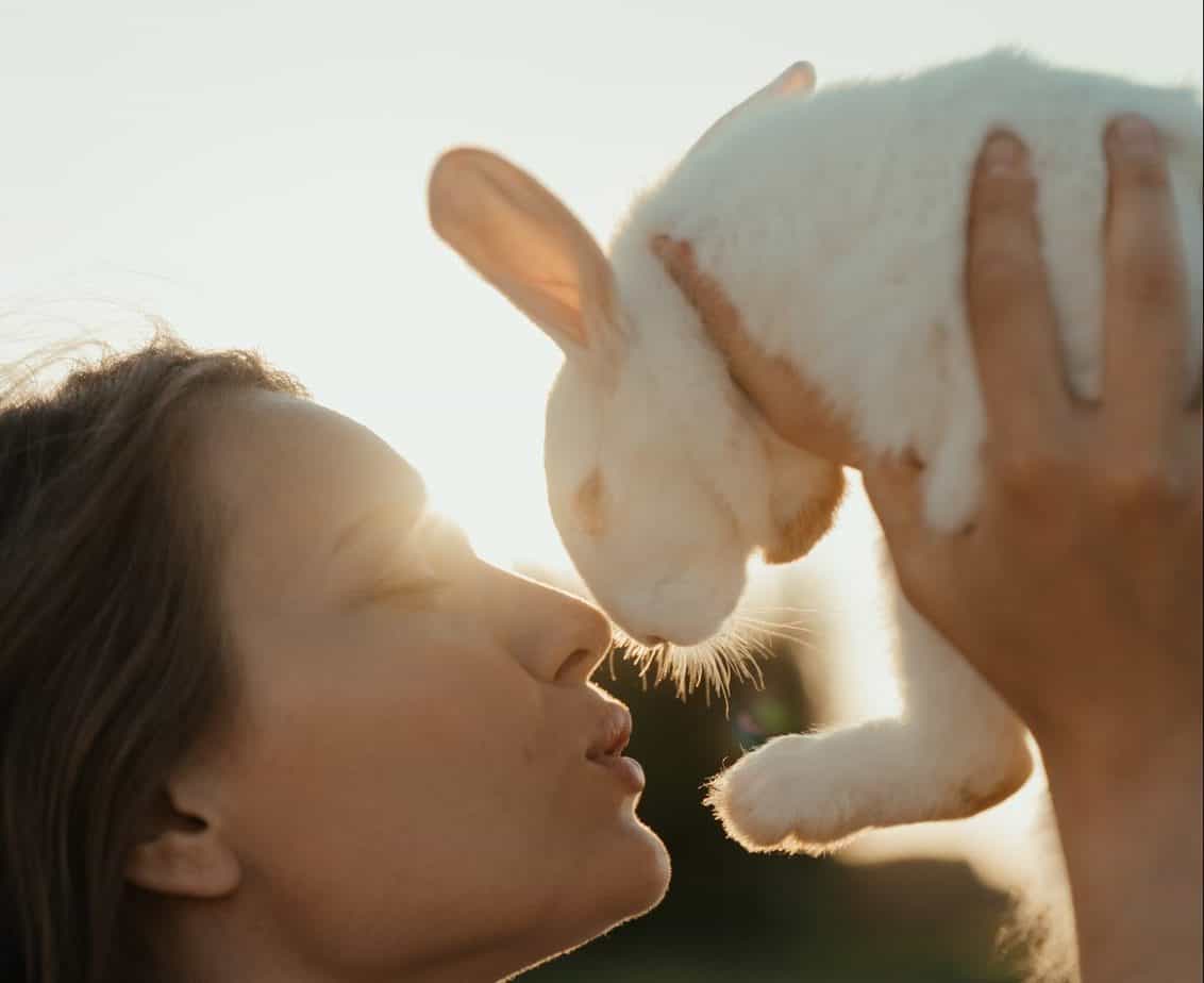 A girl smelling her rabbit. do rabbits smell bad