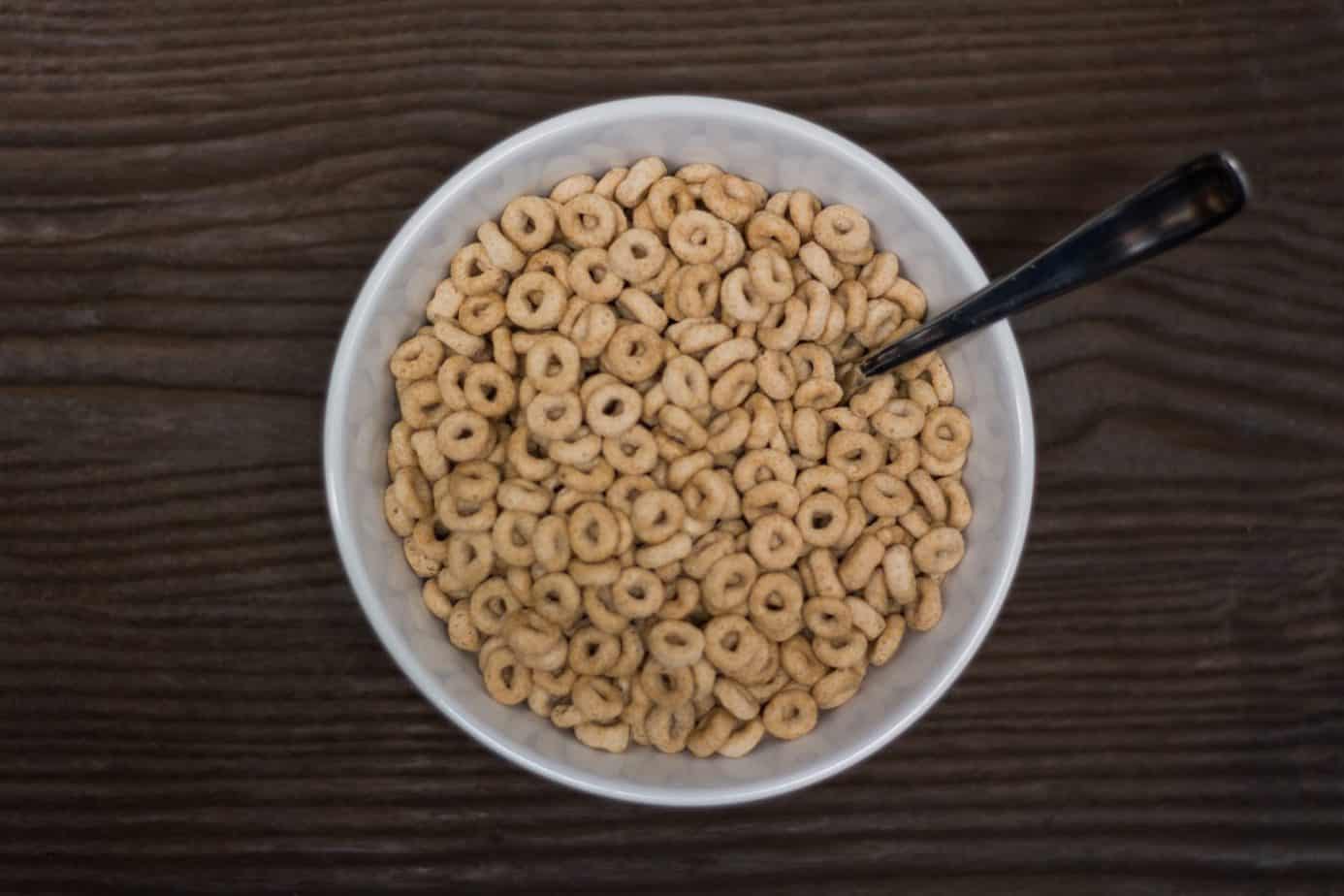 A bowl of cheerios. Can rabbits eat cheerios