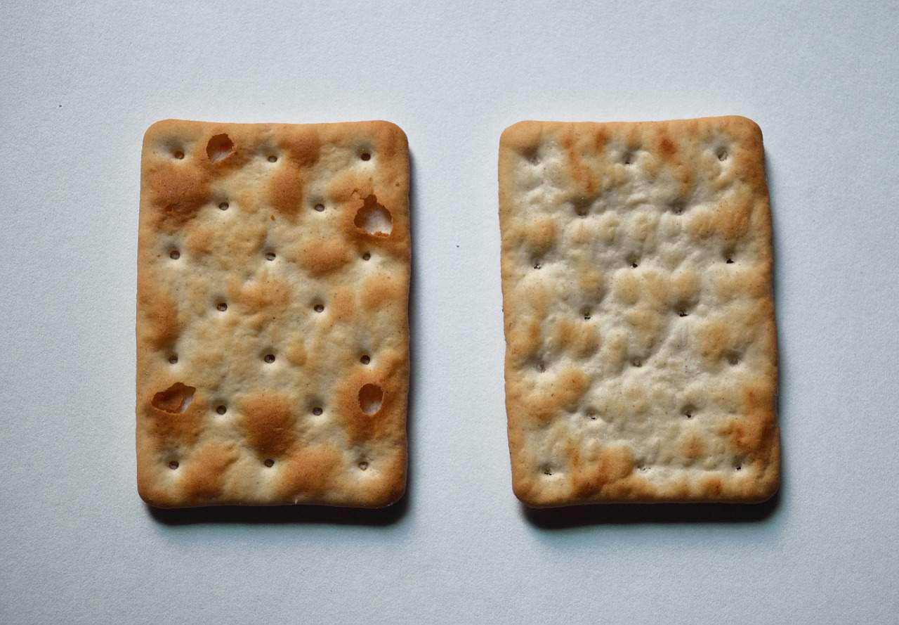 Two crackers beside each other. Can rabbits eat crackers Can Rabbits Eat Crackers?