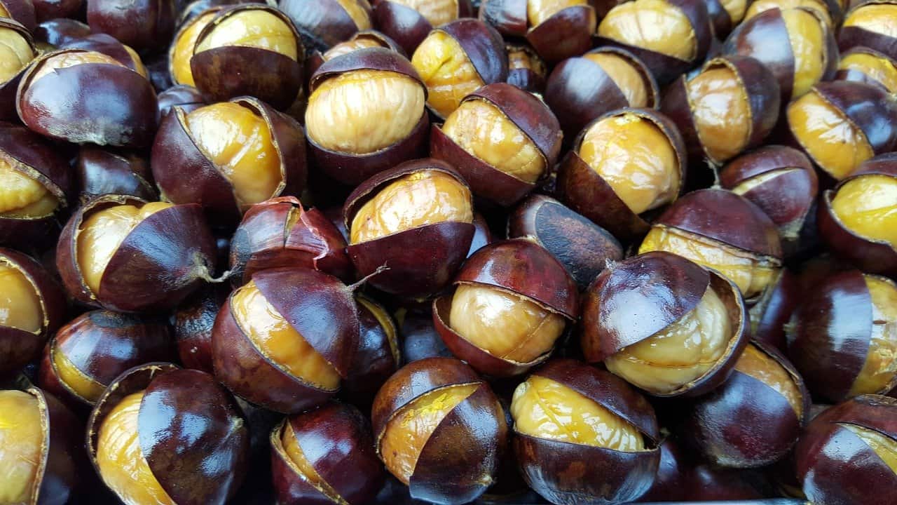 A bunch of chestnuts. Can rabbits eat chestnuts