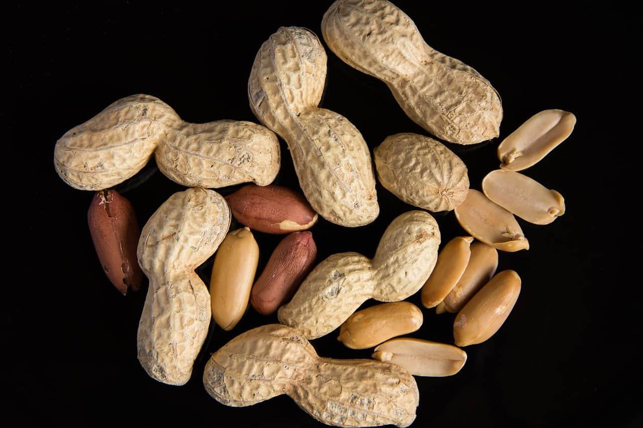 A bunch of peanuts with and without shells. Can rabbits eat peanuts