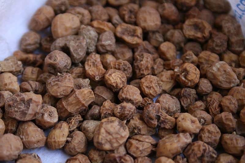 A picture of tiger nuts. Can rabbits eat tiger nuts