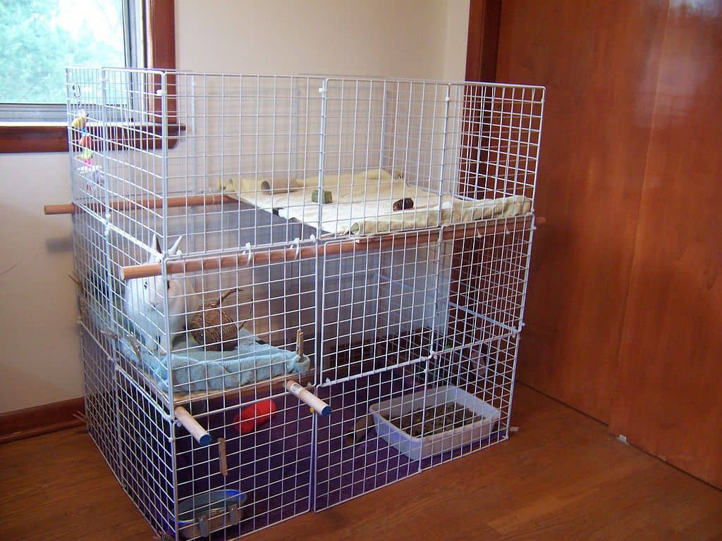 A rabbit that's in its cage. Should you cover your rabbits cage at night