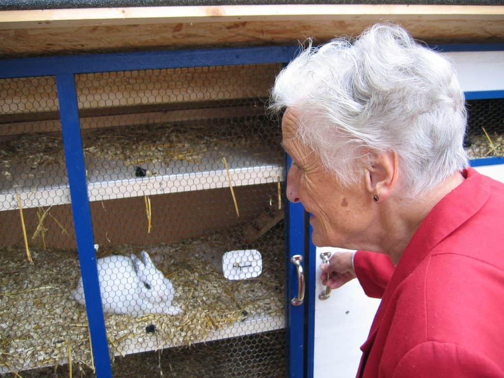 And old lady looking at her pet rabbit inside a cage