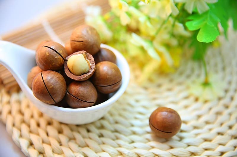Macadamia_nuts,_with_one_cracked_and_exposing_the_nut. Can rabbits eat macadamia nuts