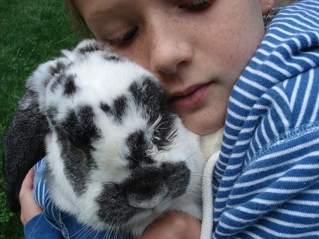 A girl hugging and being affectionate to her pet rabbit