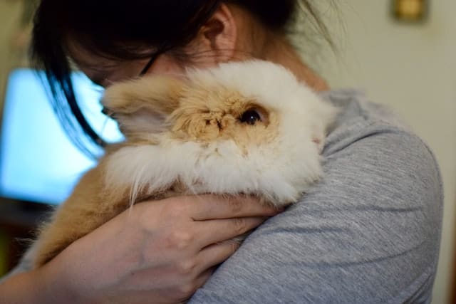 A girl hugging her pet rabbit.