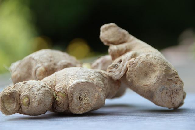 Ginger roots. Can rabbits eat ginger