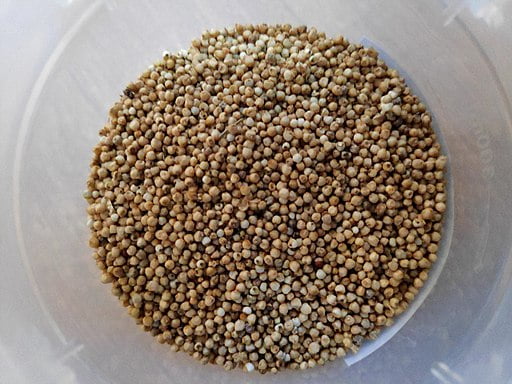 A bowl of millet seeds