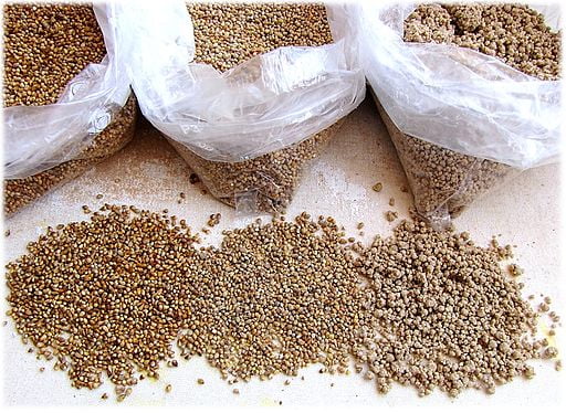A-sack-of-millet-seeds.-Can-rabbits-eat-millet