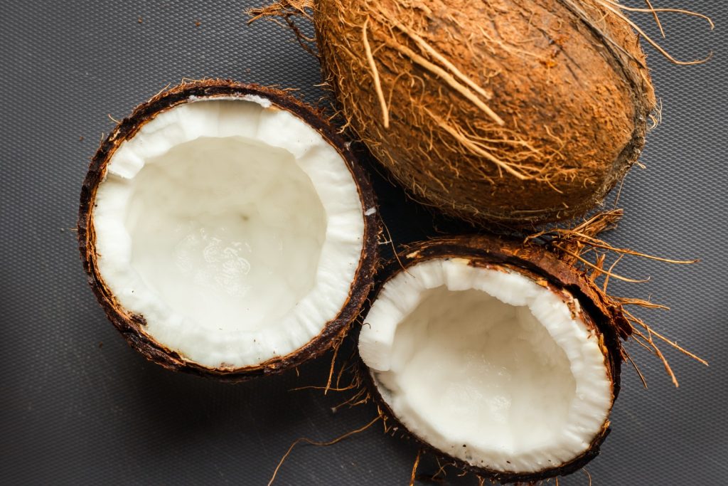 Coconut meat. Can rabbits eat coconuts